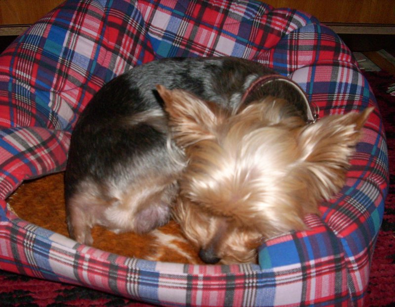 Snímek 001.jpg
