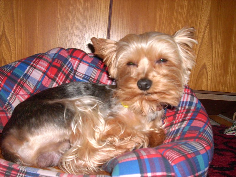 Snímek 003.jpg