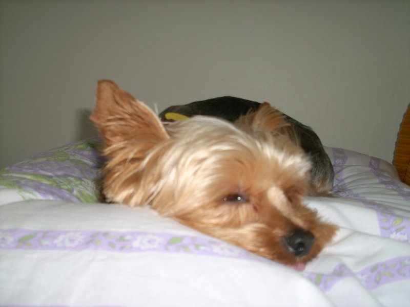 Snímek 012.jpg
